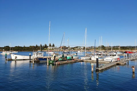 3-Day Adelaide To Melbourne Tour Including The Great Ocean Road - Phillip Island Accommodation 4