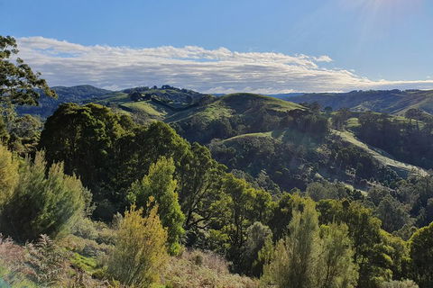 3-Day Adelaide To Melbourne Tour Including The Great Ocean Road - Phillip Island Accommodation 5