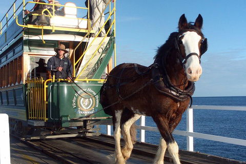 Full-Day Tour In South Australia Highlights - Phillip Island Accommodation 1