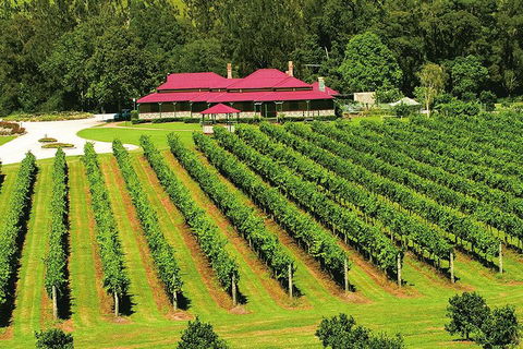 O'Reilly's & Lamington National Park From Brisbane - Phillip Island Accommodation 2