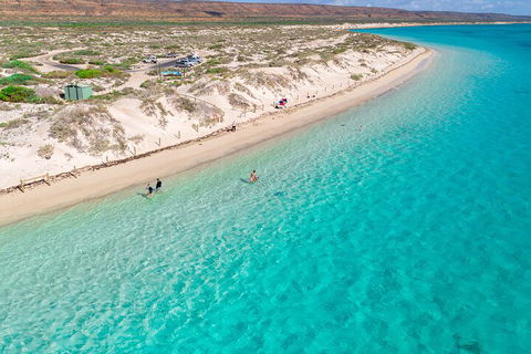 Ningaloo In A Day - Full Day Hike And Snorkel Tour With Lunch - Phillip Island Accommodation 0
