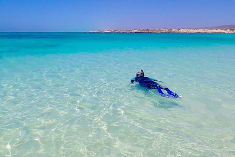 Ningaloo In A Day - Full Day Hike And Snorkel Tour With Lunch - Phillip Island Accommodation 4