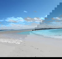 Shipwreck Special Nature Tour/Half Day Tour - Phillip Island Accommodation