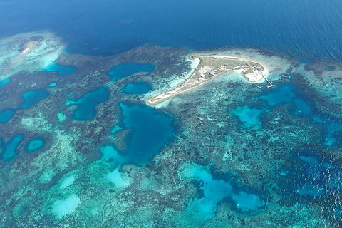 Shipwreck Special Nature Tour/Half Day Tour - Phillip Island Accommodation 5