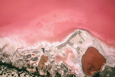 Kalbarri, Pink Lake And Abrolhos Islands Nature Tour - Phillip Island Accommodation 2