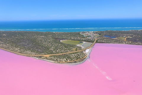 Pink Lake + Abrolhos Islands Nature Tour - Phillip Island Accommodation 4