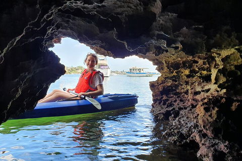 Cliffs And Caves Kayak Tour In Swan River - Phillip Island Accommodation 1