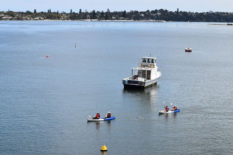 Cliffs And Caves Kayak Tour In Swan River - Phillip Island Accommodation 2