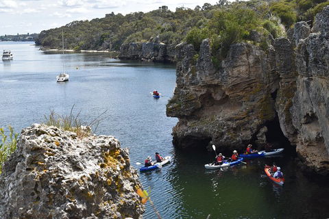 Cliffs And Caves Kayak Tour In Swan River - Phillip Island Accommodation 5