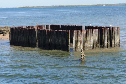 Best Of Moreton Bay Cruise - Phillip Island Accommodation 1