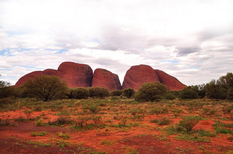 Ayers Rock Combo: Uluru Base And Sunset Plus Uluru Sunrise And Kata Tjuta With An Optional BBQ Dinner Or Kings Canyon Day Trip - Phillip Island Accommodation 1