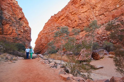 Best Of Alice Springs Full Day Tour - Phillip Island Accommodation 1