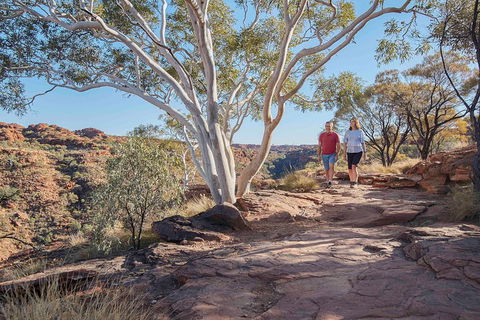 3-Day Tour From Uluru (Ayers Rock) To Alice Springs Via Kings Canyon - Phillip Island Accommodation 1