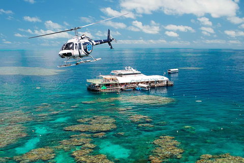 Great Barrier Reef Day Cruise From Cairns Including Snorkeling And Marine Biologist Presentation - Phillip Island Accommodation 5
