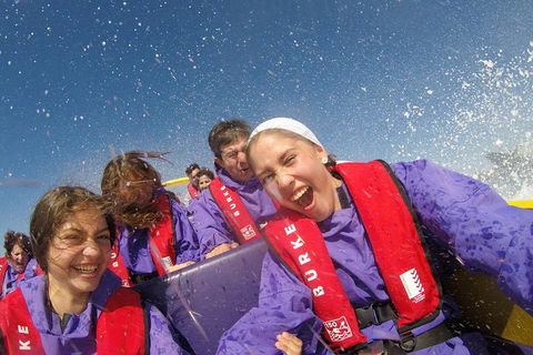 45 Minute Extreme Adrenaline Rush Ride - Phillip Island Accommodation 3