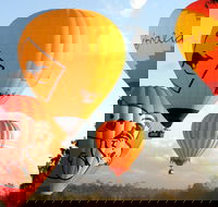 Natural Bridge  Springbrook Waterfalls Tour  Hot Air Balloon with Breakfast - Phillip Island Accommodation
