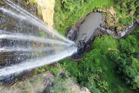 Natural Bridge & Springbrook Waterfalls Tour + Hot Air Balloon With Breakfast - Phillip Island Accommodation 1