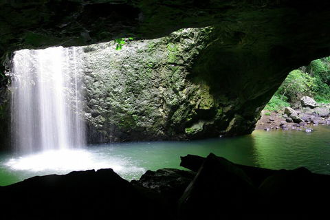 Natural Bridge & Springbrook Waterfalls Tour + Hot Air Balloon With Breakfast - Phillip Island Accommodation 2