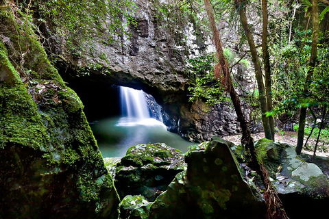Natural Bridge & Springbrook Waterfalls Tour + Hot Air Balloon With Breakfast - Phillip Island Accommodation 4