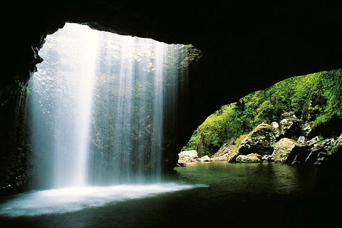 Natural Bridge & Springbrook Waterfalls Tour - Phillip Island Accommodation 0