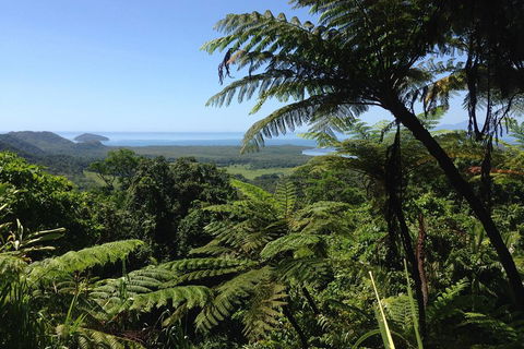 Daintree And Cape Tribulation Full Day Guided Tour - Phillip Island Accommodation 2