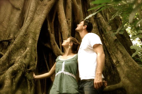 Daintree And Cape Tribulation Full Day Guided Tour - Phillip Island Accommodation 5