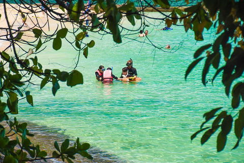 Green Island Day Trip From Cairns - Phillip Island Accommodation 2