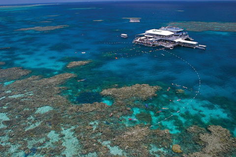 Quicksilver Outer Great Barrier Reef Snorkel Cruise From Port Douglas - Phillip Island Accommodation 3