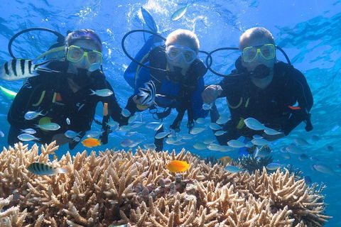 Quicksilver Outer Great Barrier Reef Snorkel Cruise From Port Douglas - Phillip Island Accommodation 4