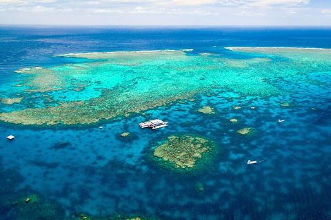 Quicksilver Outer Great Barrier Reef Snorkel Cruise From Port Douglas - Phillip Island Accommodation 5