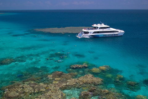 Silversonic Outer Great Barrier Reef Dive And Snorkel Cruise From Port Douglas - Phillip Island Accommodation 2