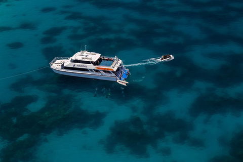 Quicksilver Dive 4 Day PADI Learn To Dive Course - Phillip Island Accommodation 1
