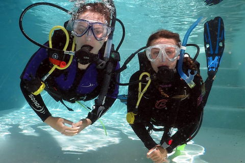Quicksilver Dive 4 Day PADI Learn To Dive Course - Phillip Island Accommodation 2