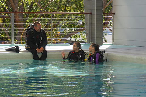 Quicksilver Dive 4 Day PADI Learn To Dive Course - Phillip Island Accommodation 3