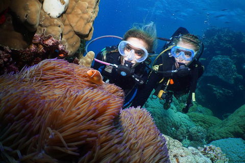Quicksilver Dive 4 Day PADI Learn To Dive Course - Phillip Island Accommodation 4
