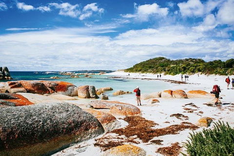 Wineglass Bay Private Charter Service - Phillip Island Accommodation 3