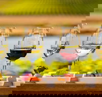 Launceston Private Charter Service - Phillip Island Accommodation