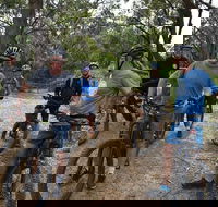 Fully guided E-Mountain Bike Tour on the beautiful Mornington Peninsula. - Phillip Island Accommodation