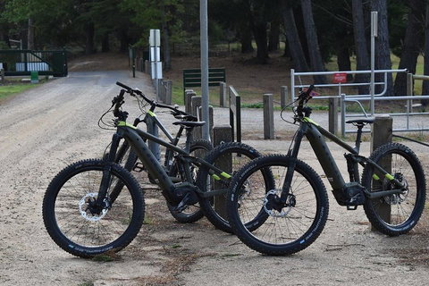 Fully Guided E-Mountain Bike Tour On The Beautiful Mornington Peninsula. - Phillip Island Accommodation 2