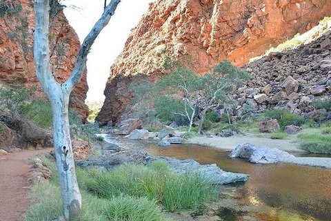 Alice Springs, Uluru Ayers Rock & Kings Canyon 8 Days Touring Package - Phillip Island Accommodation 2