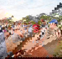 Uluru Kata Tjuta and Kings Canyon Camping Safari from Ayers Rock - Phillip Island Accommodation