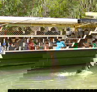 Hartley's Crocodile Adventure Half-Day Tour