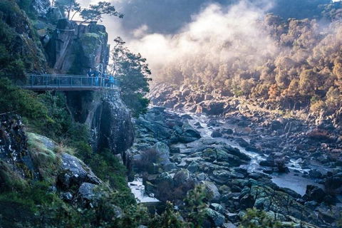 3.5 Hours Walking Tour To Cataract Gorge With Local Guide - Phillip Island Accommodation 1