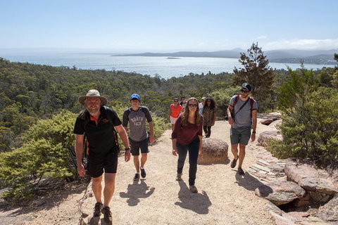 3-Day Tasmania Combo: Launceston To Hobart Active Tour Including Cradle Mountain, Freycinet National Park And Port Arthur - Phillip Island Accommodation 5