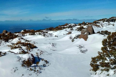 Mt Wellington Ultimate Experience Tour From Hobart - Phillip Island Accommodation 4