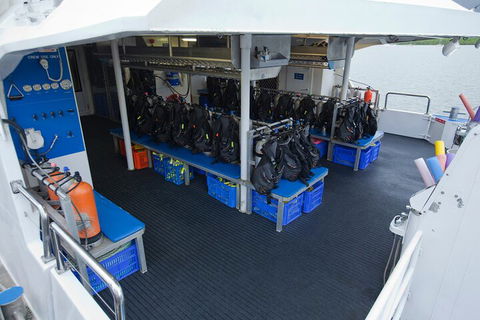 Silverswift Outer Great Barrier Reef Dive And Snorkel Cruise From Cairns - Phillip Island Accommodation 0