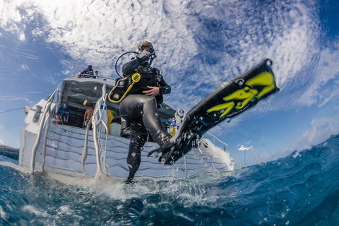 Silverswift Outer Great Barrier Reef Dive And Snorkel Cruise From Cairns - Phillip Island Accommodation 1