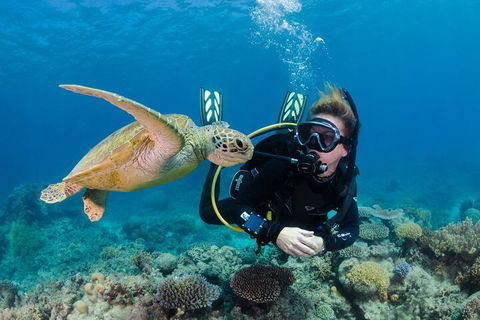 Silverswift Outer Great Barrier Reef Dive And Snorkel Cruise From Cairns - Phillip Island Accommodation 2