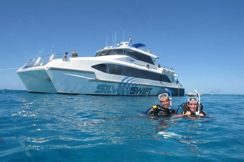 Silverswift Outer Great Barrier Reef Dive And Snorkel Cruise From Cairns - Phillip Island Accommodation 4