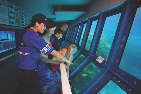 Great Barrier Reef Adventure From Cairns - Phillip Island Accommodation 0